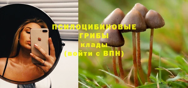 амф Беломорск