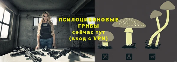 дживик Белоозёрский