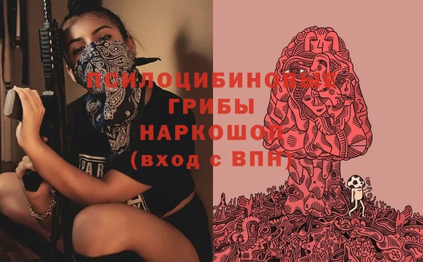 метадон Белокуриха