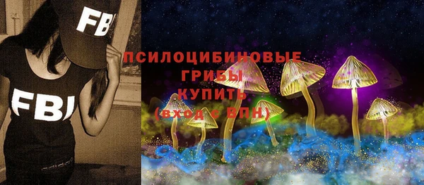 мдма Богородск
