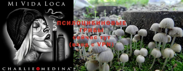 дживик Белоозёрский