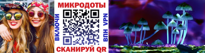 Псилоцибиновые грибы мицелий  Купить  Курчатов 